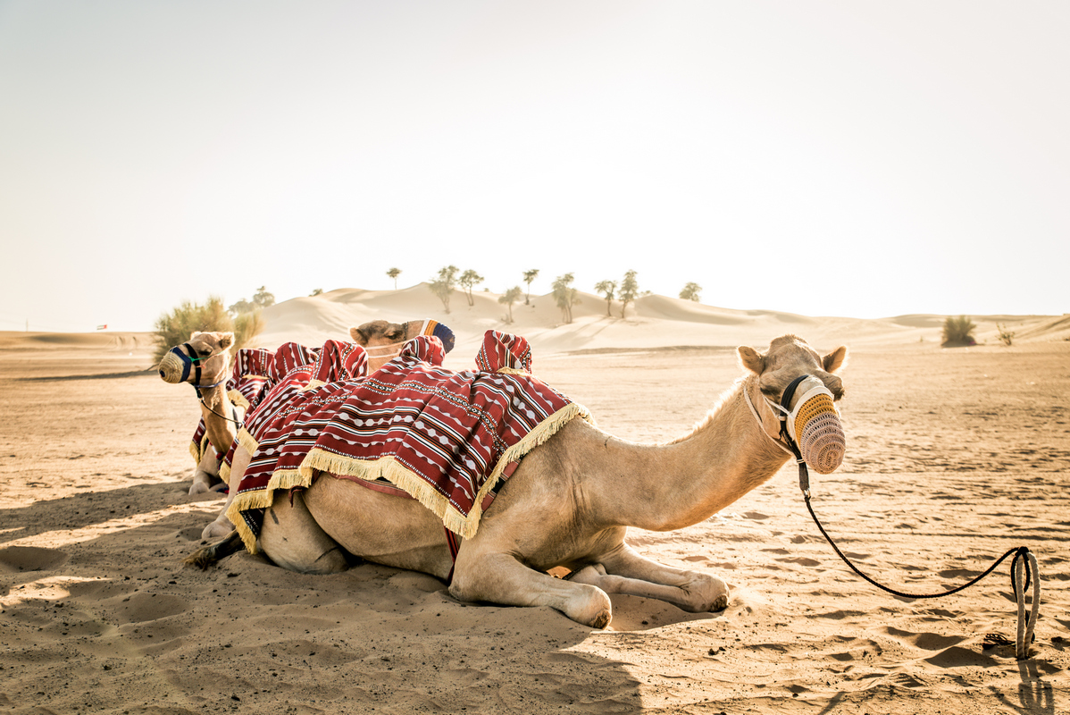 Oman eVisa for Italian Citizens