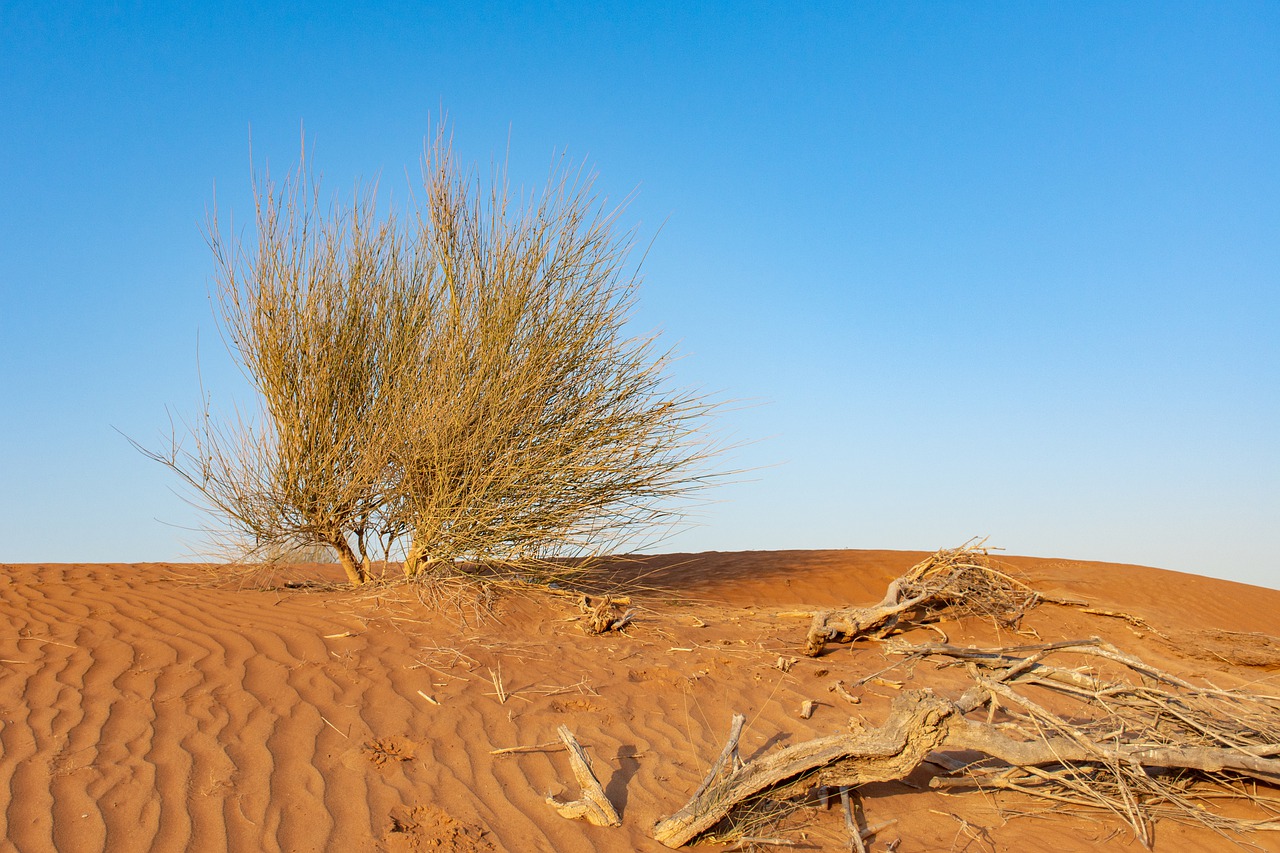 What Is The Official Website To Apply For Oman Visa?